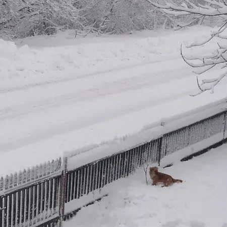 Kwatera U Somsiada -apartament Ubytování v soukromí *