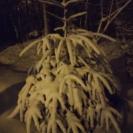 Alloggio in famiglia Kwatera U Somsiada -apartament *