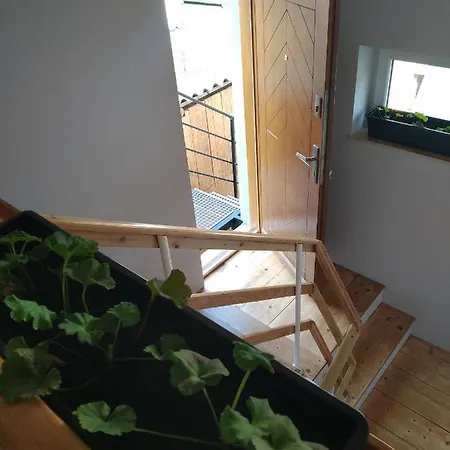 Alloggio in famiglia Kwatera U Somsiada -apartament *