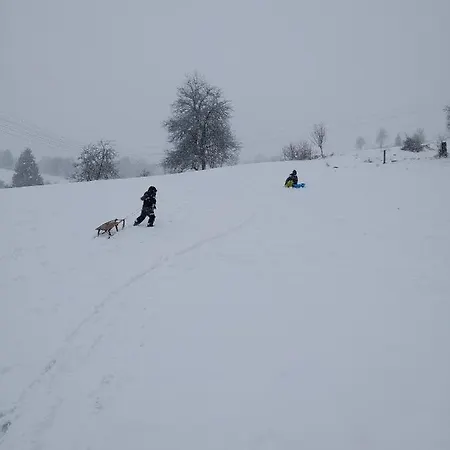 Alloggio in famiglia Kwatera U Somsiada -apartament