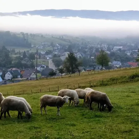 Kwatera U Somsiada -apartament Muszyna