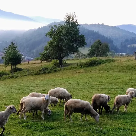 Alloggio in famiglia Kwatera U Somsiada -apartament