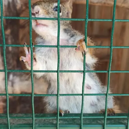 Kwatera U Somsiada -apartament Ubytování v soukromí