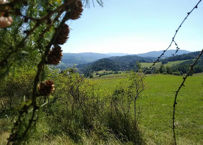 Kwatera prywatna Kwatera U Somsiada -apartament *