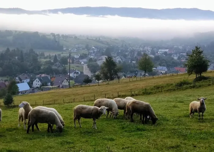 Kwatera U Somsiada -apartament Muszyna