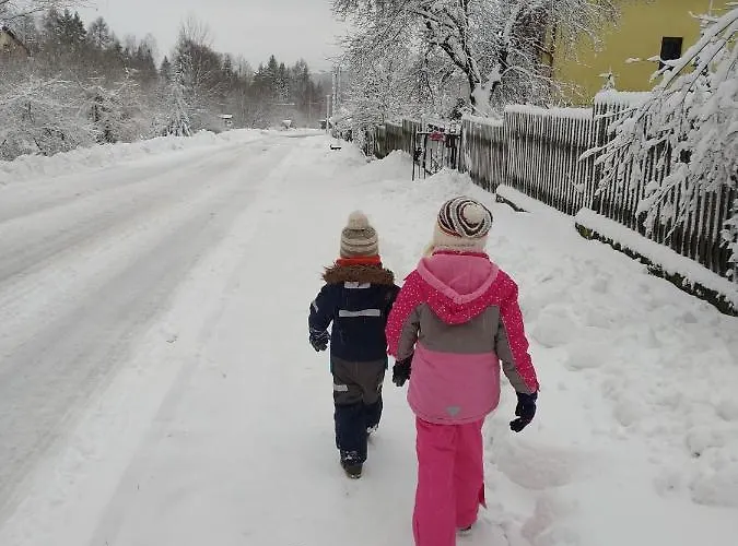 Kwatera U Somsiada -apartament Kwatera prywatna Muszyna